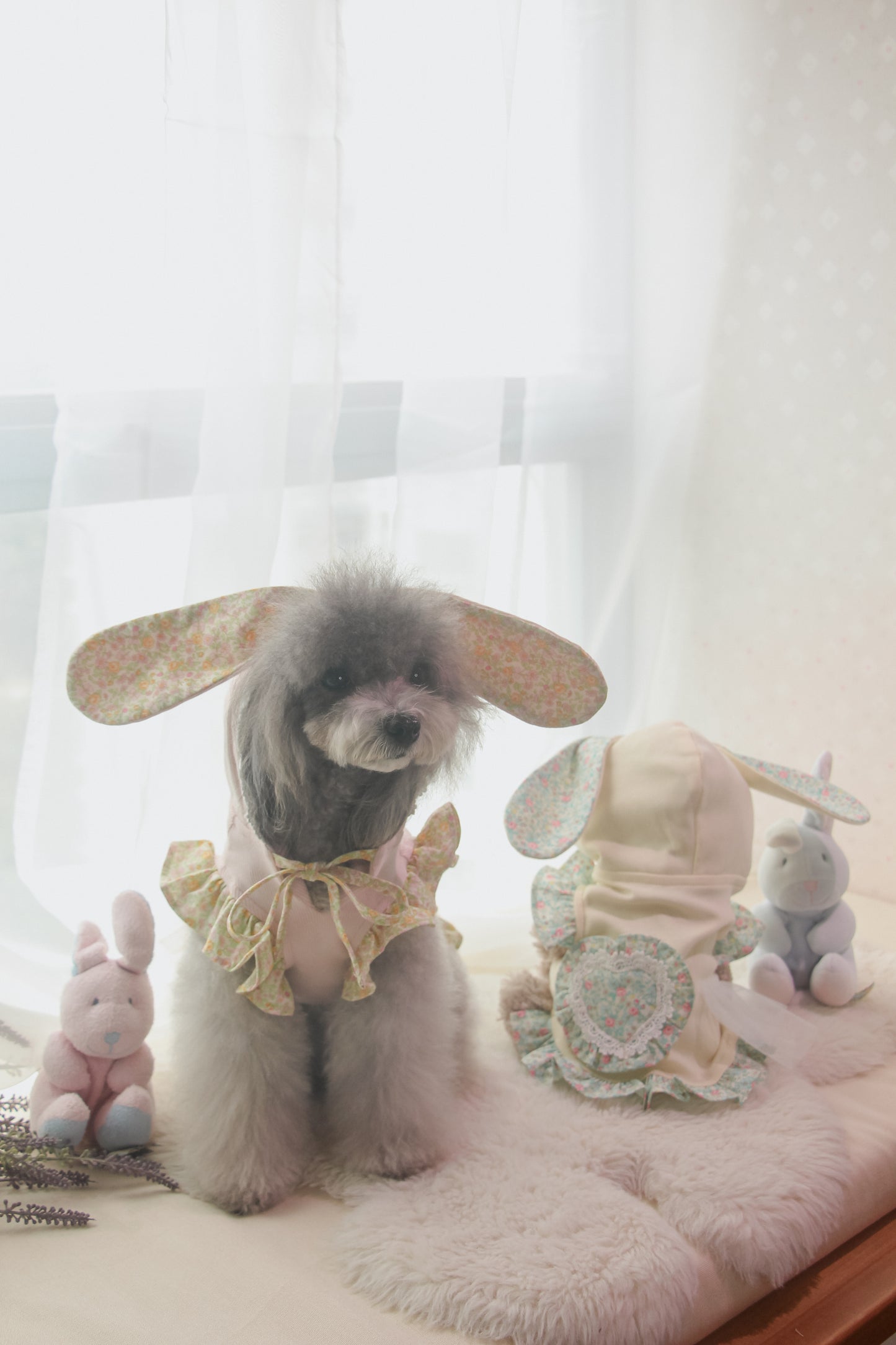 couture bunny hoodie (pink)