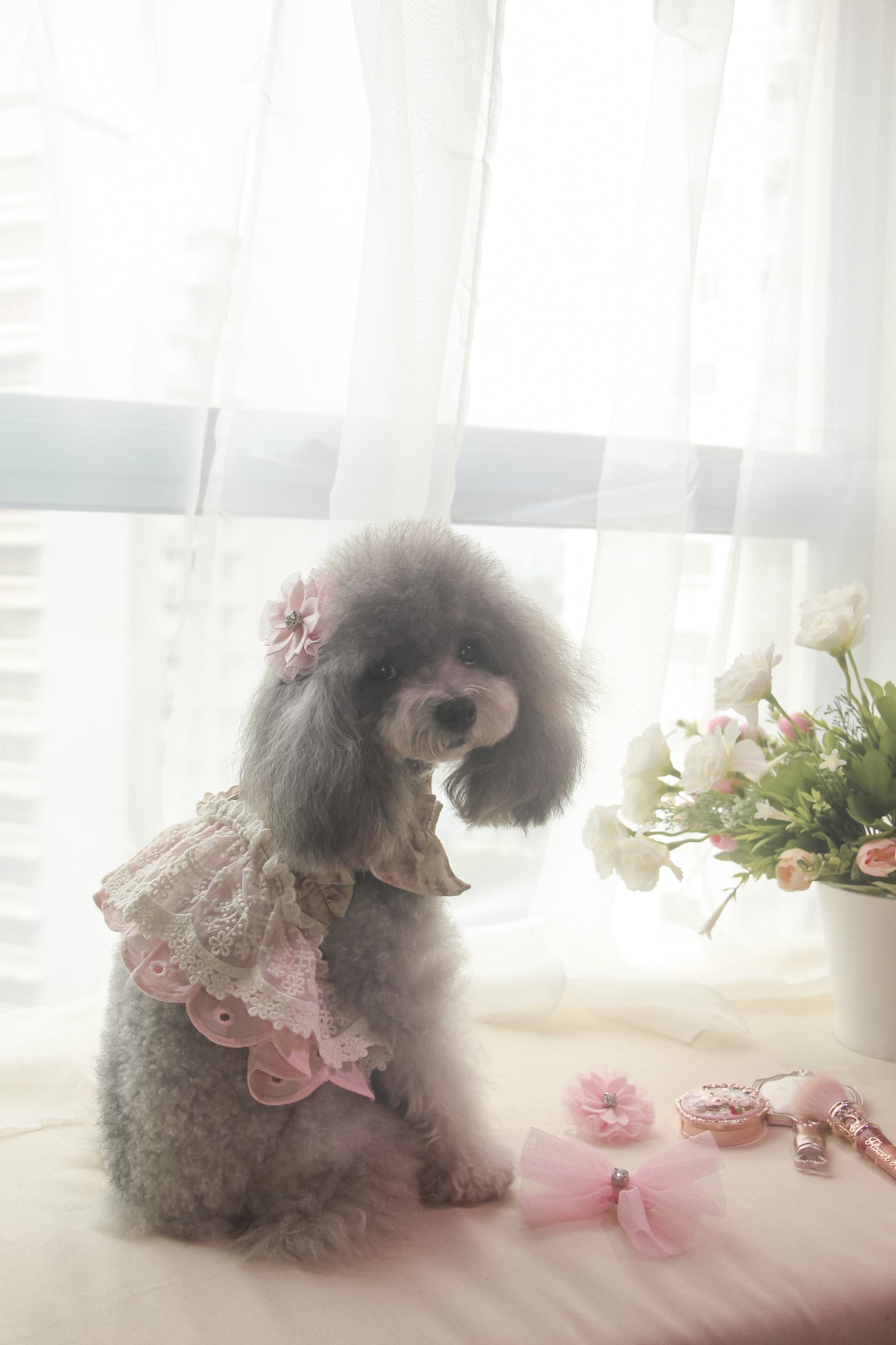 juliet harness + leash set (version 1 - beige)