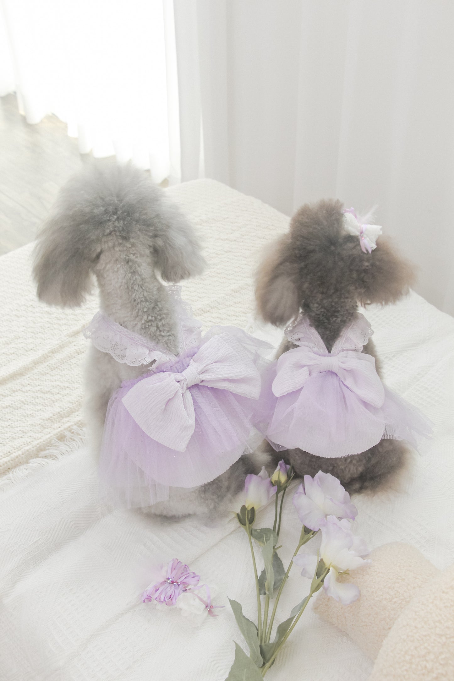 odette dress (pearl lilac)