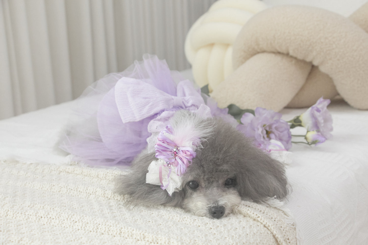 odette swan hairpin/brooch