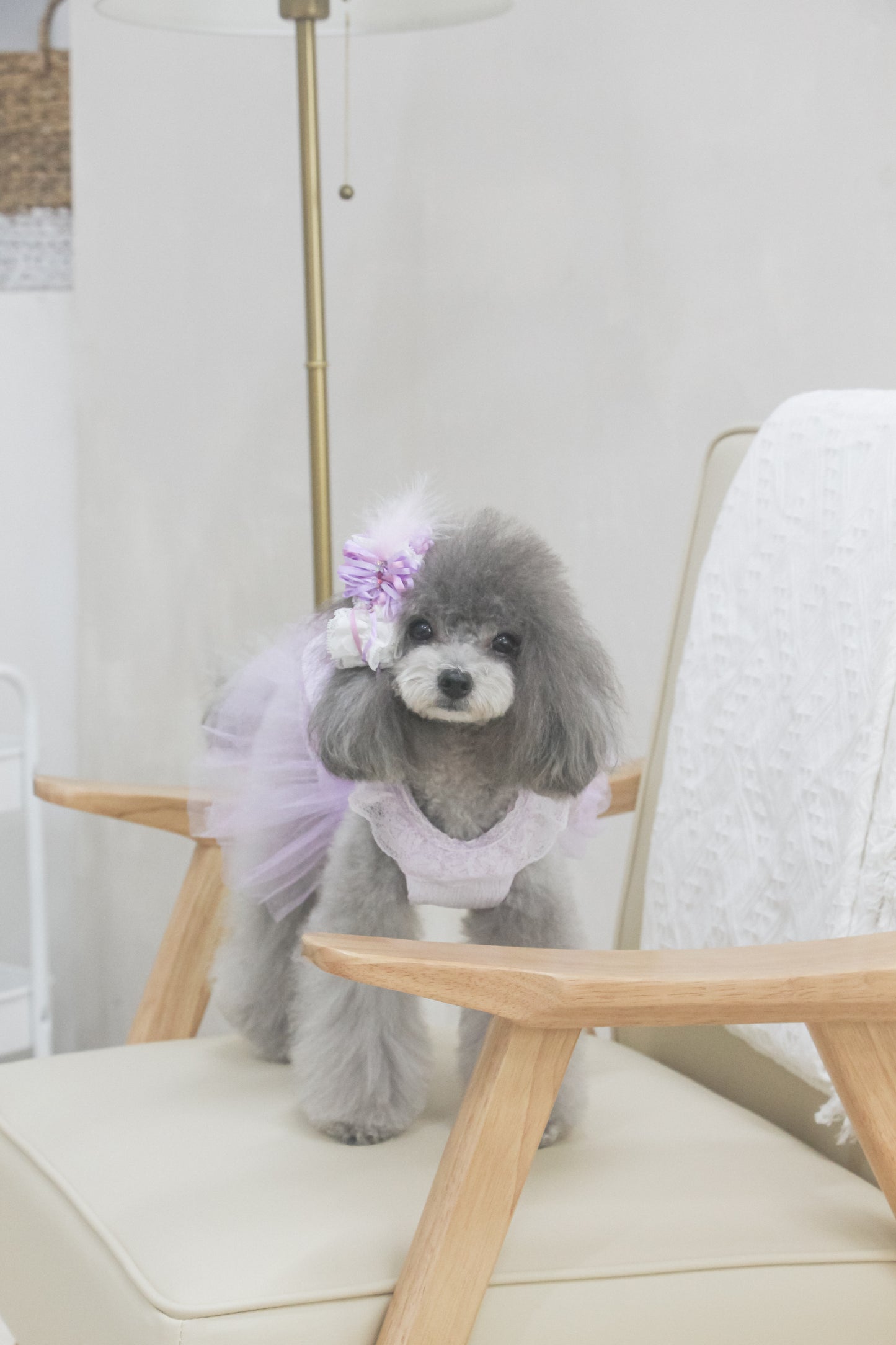 odette dress (pearl lilac)