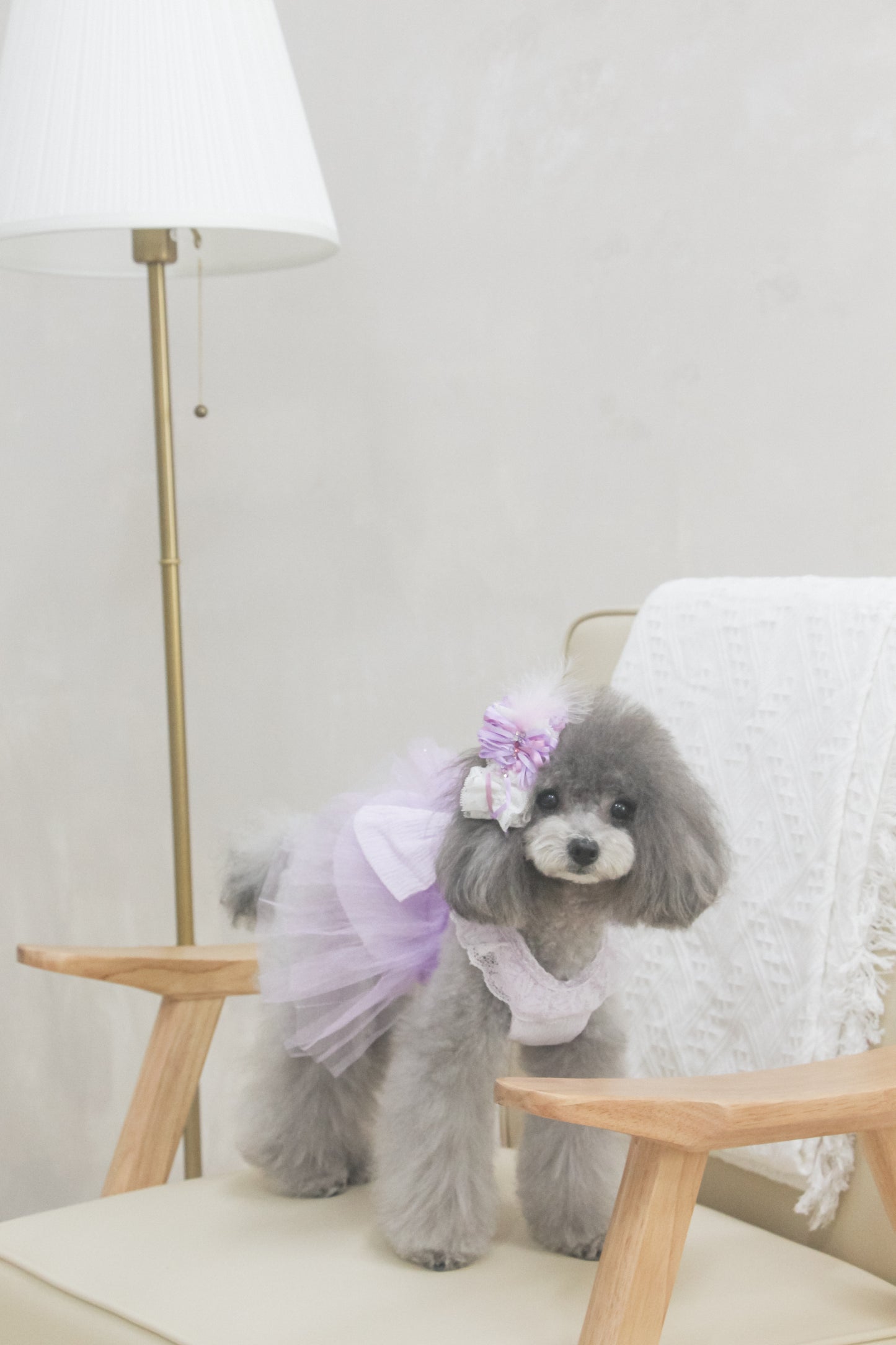 odette dress (pearl lilac)