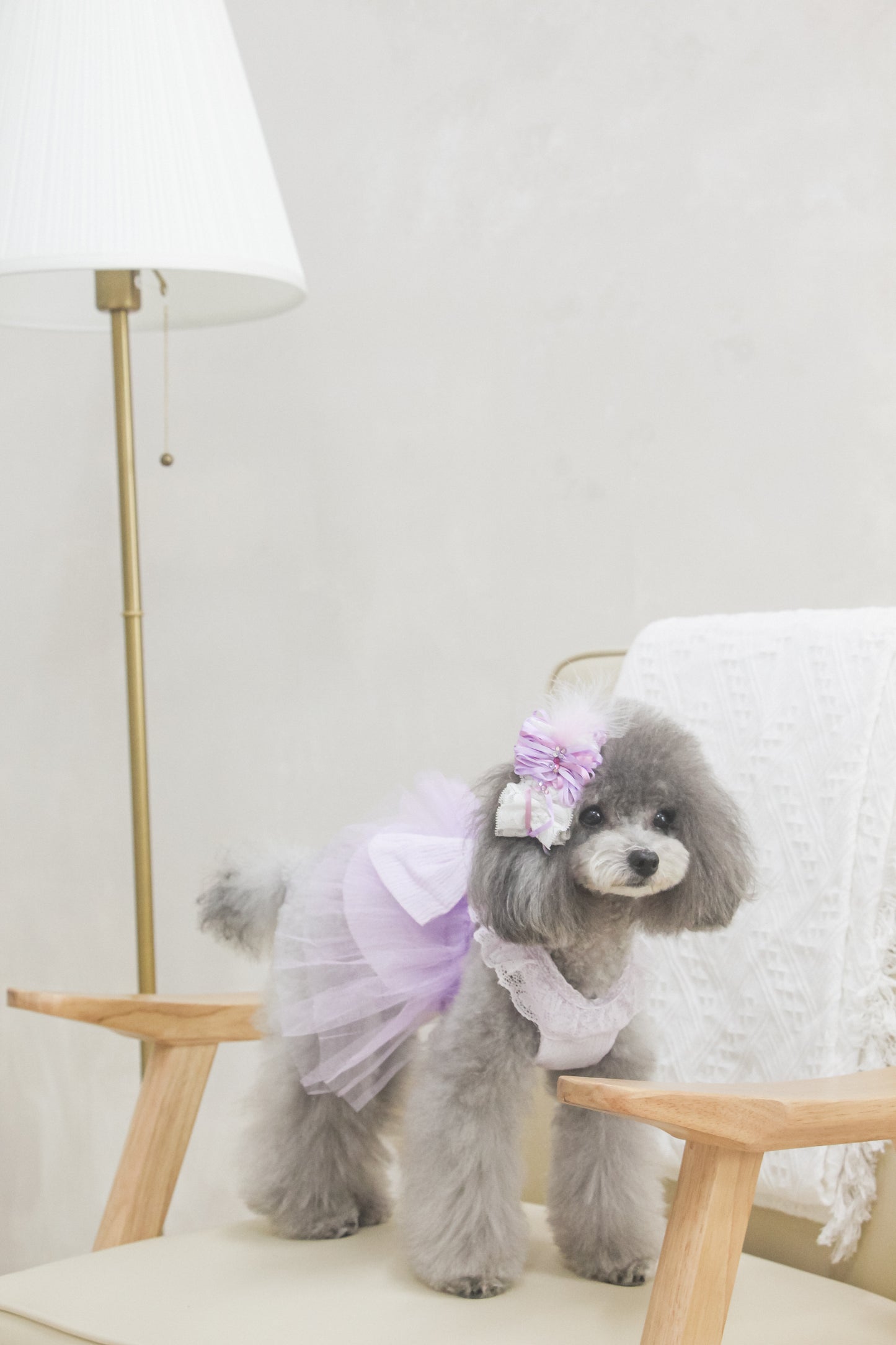 odette dress (pearl lilac)