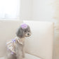 olivia candy ribbon harness
