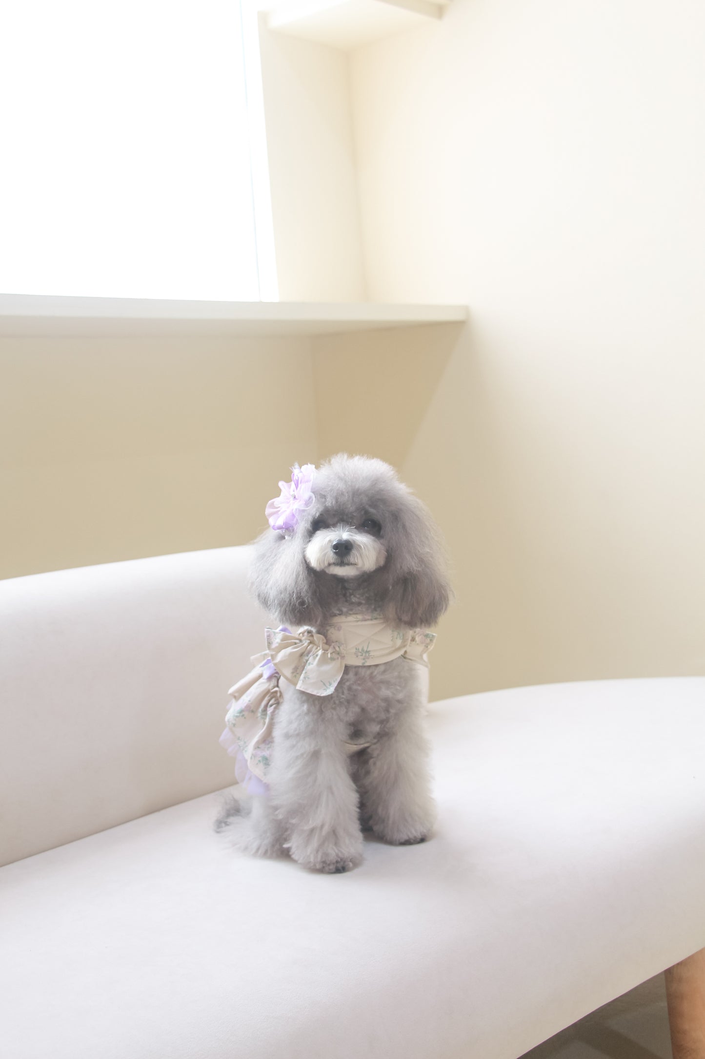 olivia candy ribbon harness