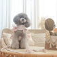 juliet leash (version 2 – pink)
