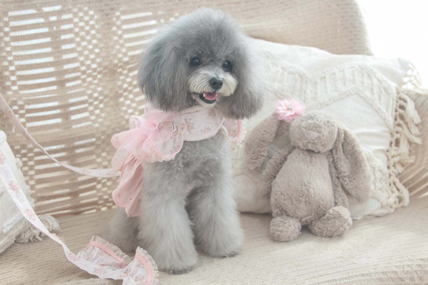 juliet harness + leash set (version 2 - pink)
