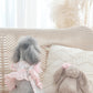 juliet harness + leash set (version 2 - pink)