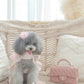 juliet leash (version 2 – pink)
