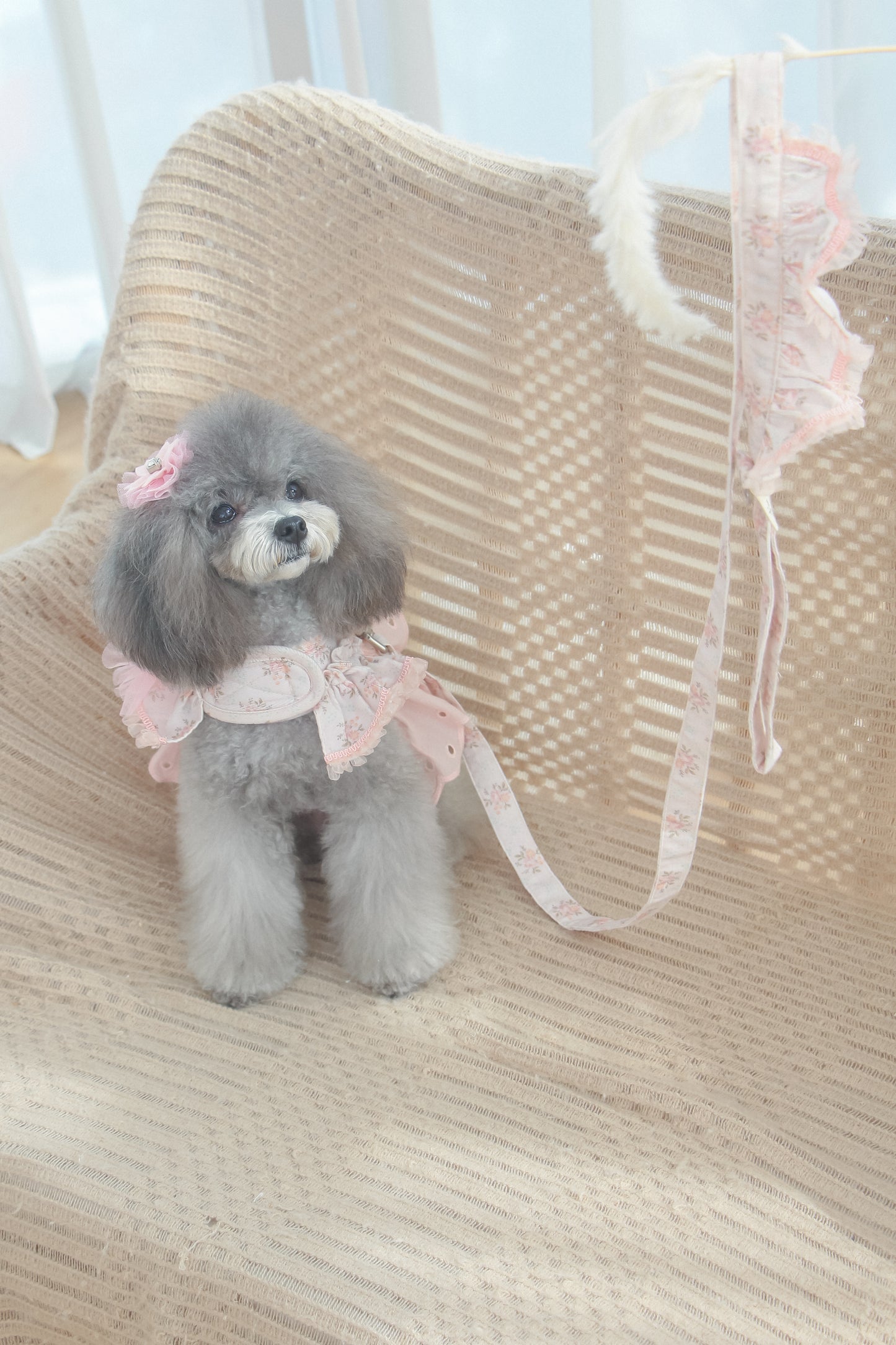 juliet harness (version 2 - pink)