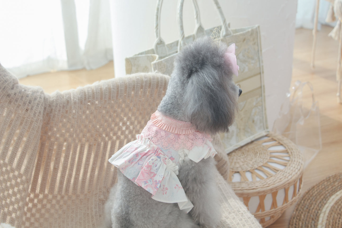 elysia harness (pink)
