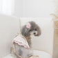 juliet leash (version 1 – beige)