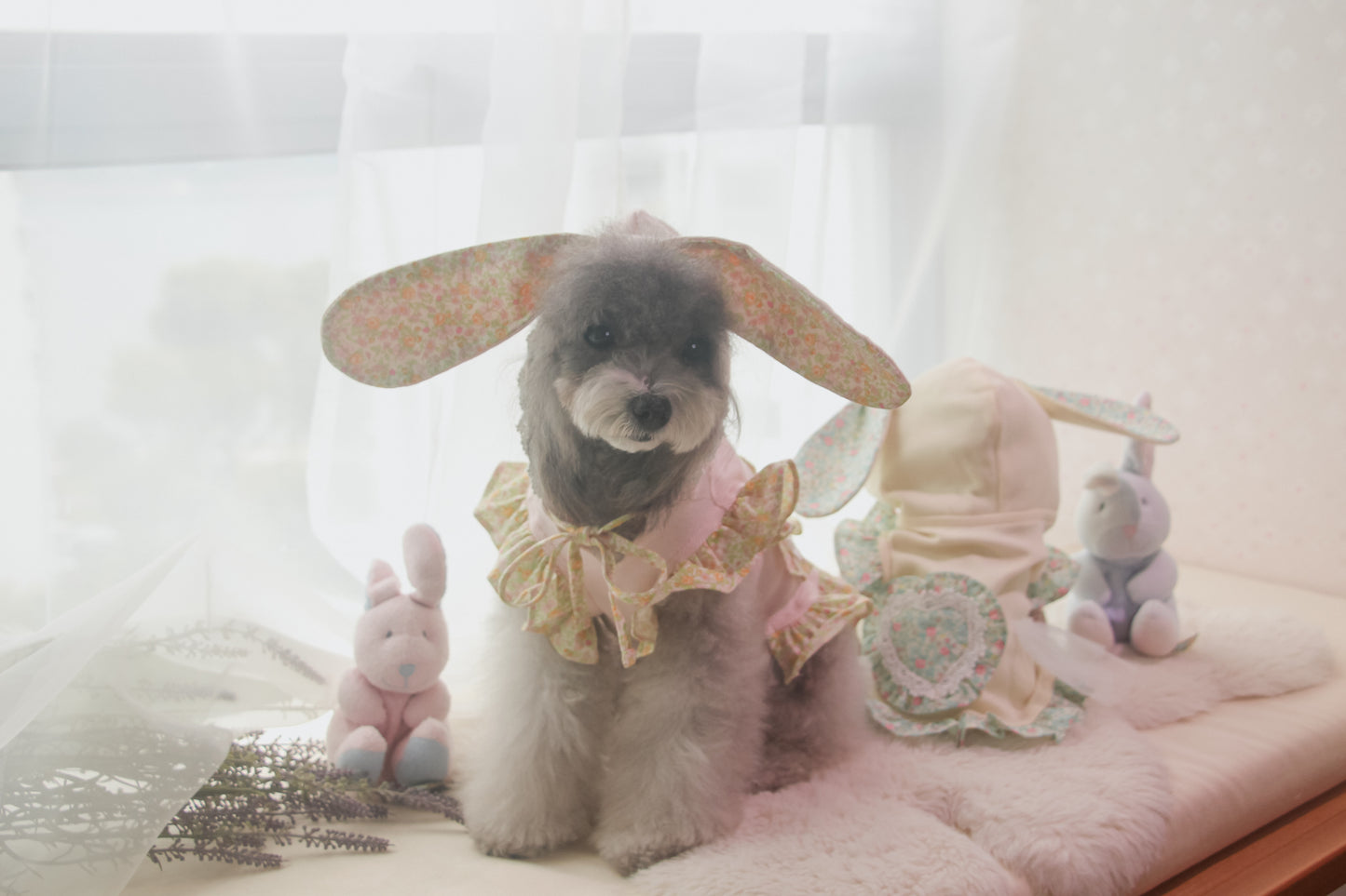 couture bunny hoodie (pink)