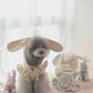 couture bunny hoodie (pink)
