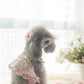juliet harness + leash set (version 1 - beige)